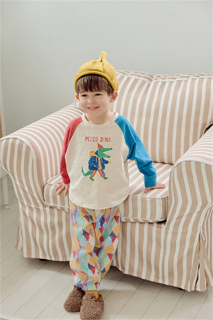 디노팍스티 상세 16