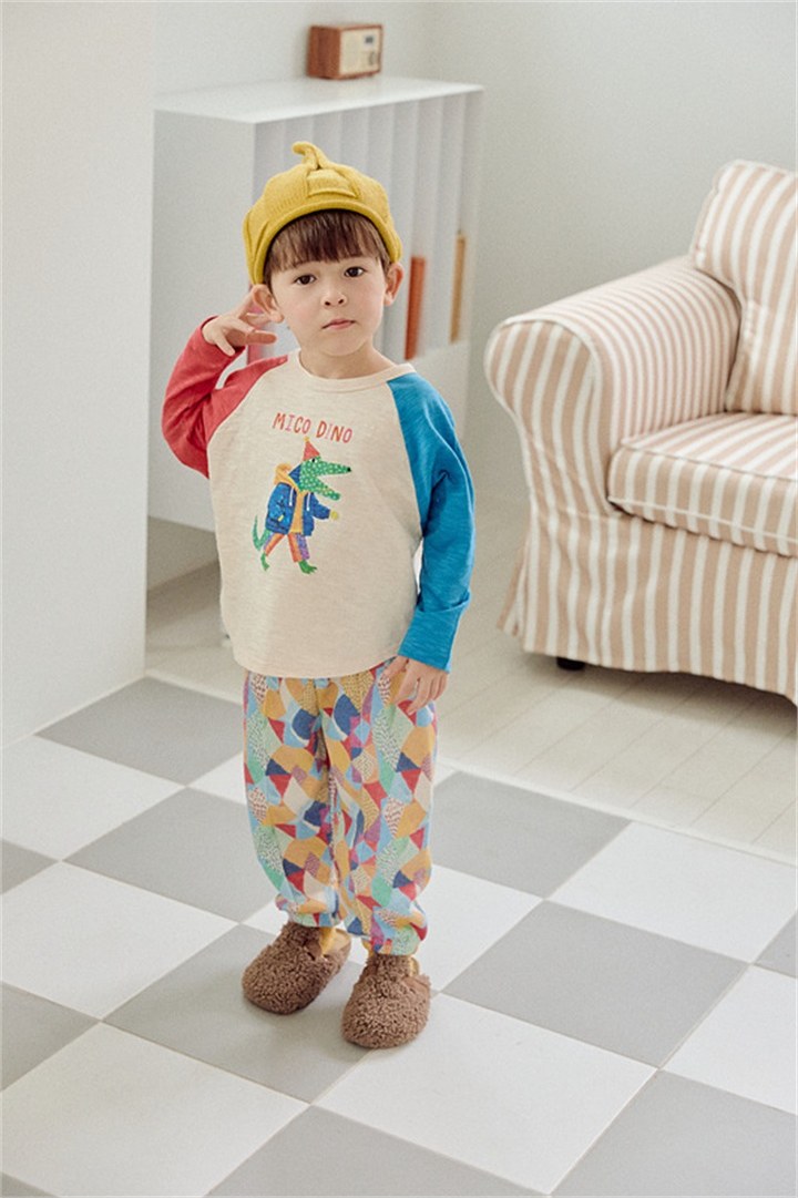 디노팍스티 상세 18