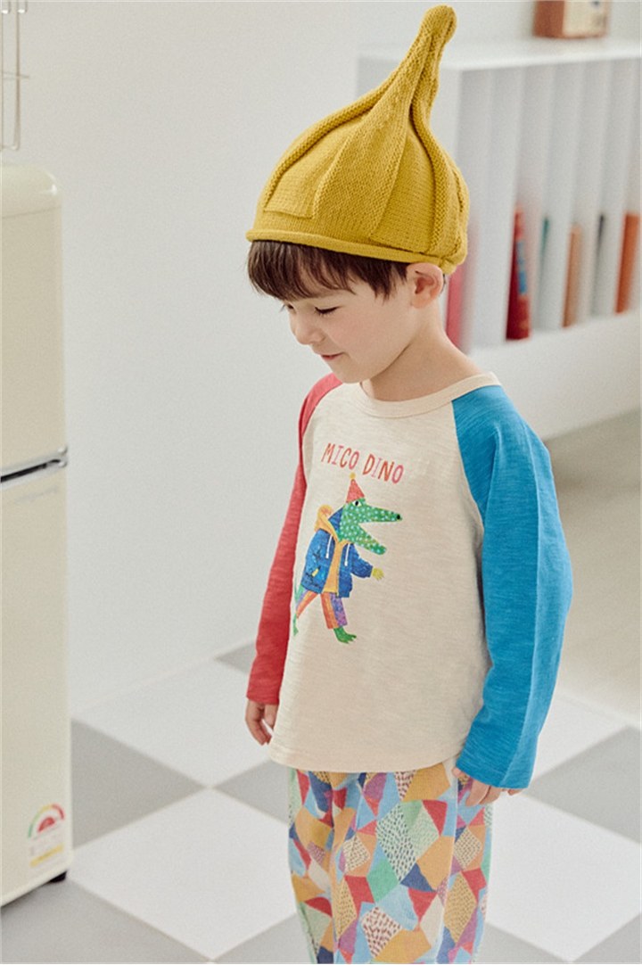 디노팍스티 상세 19
