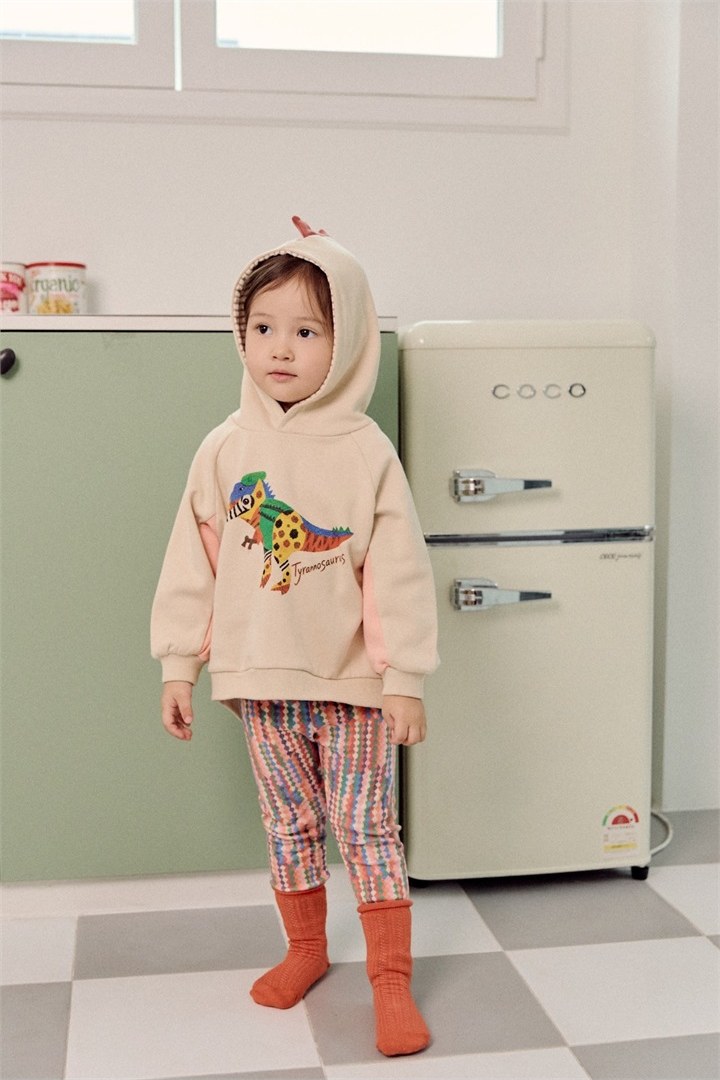 디노로보티 상세 2