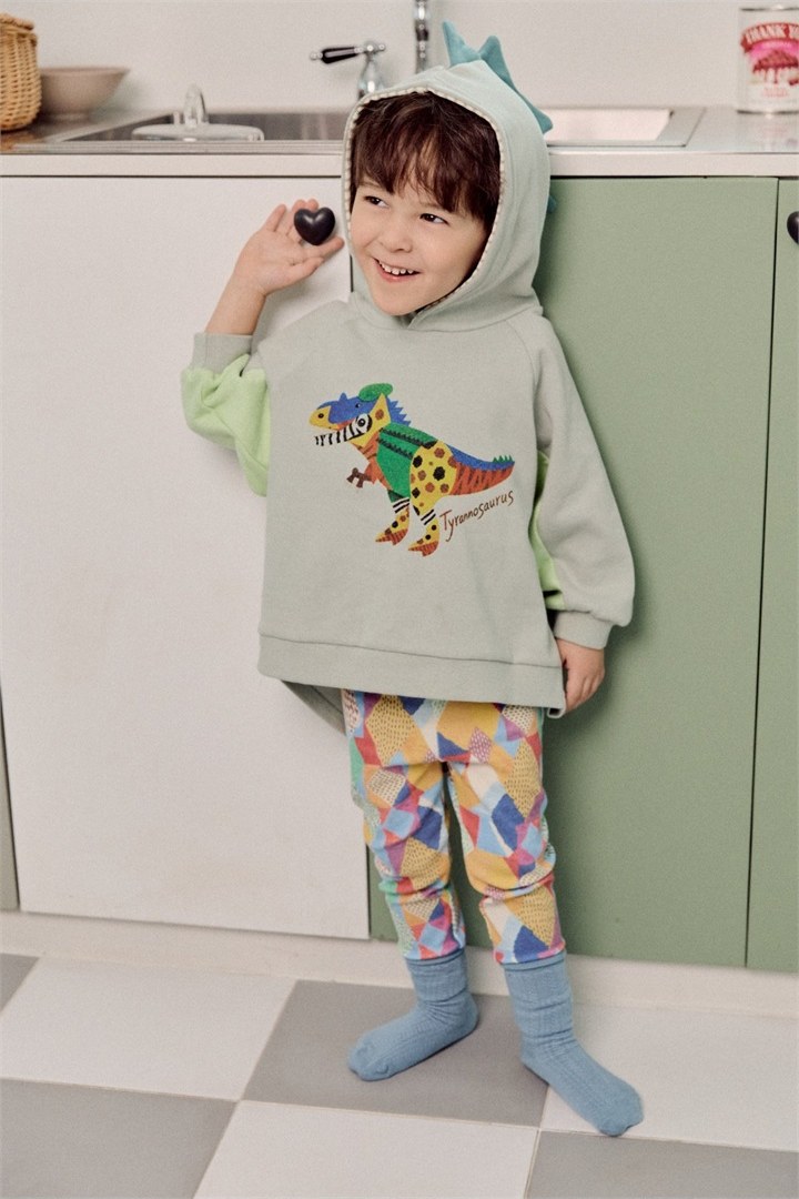 디노로보티 상세 5