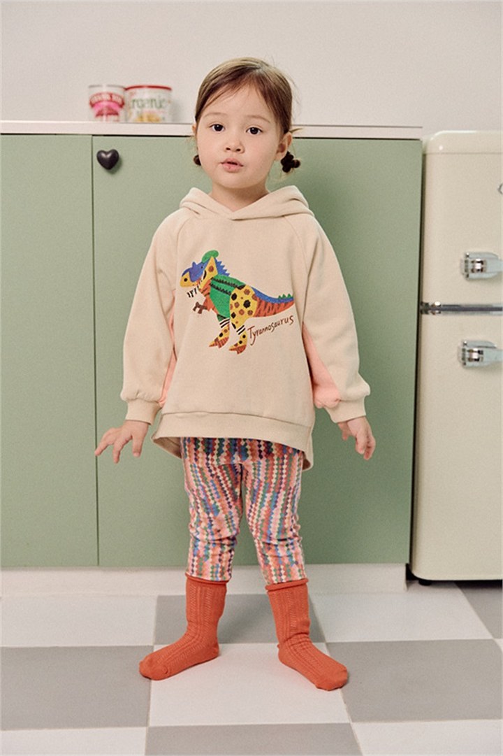 디노로보티 상세 10