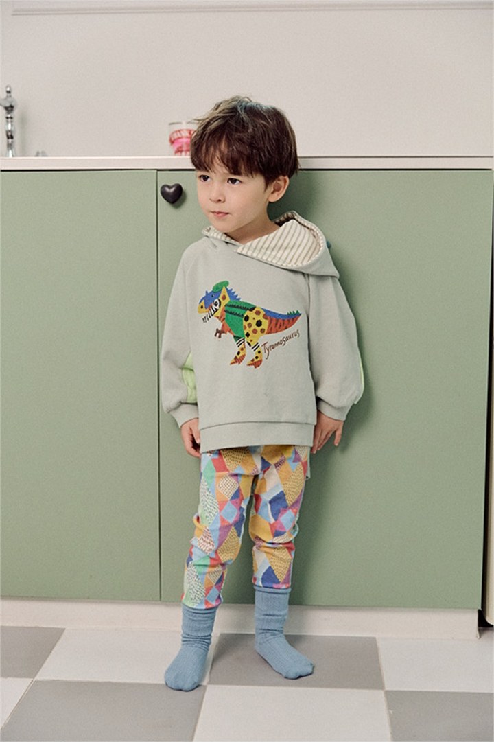 디노로보티 상세 15
