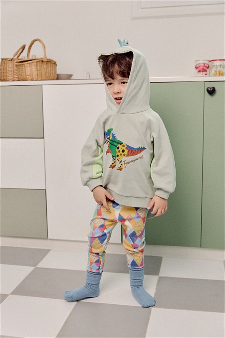 디노로보티 상세 18
