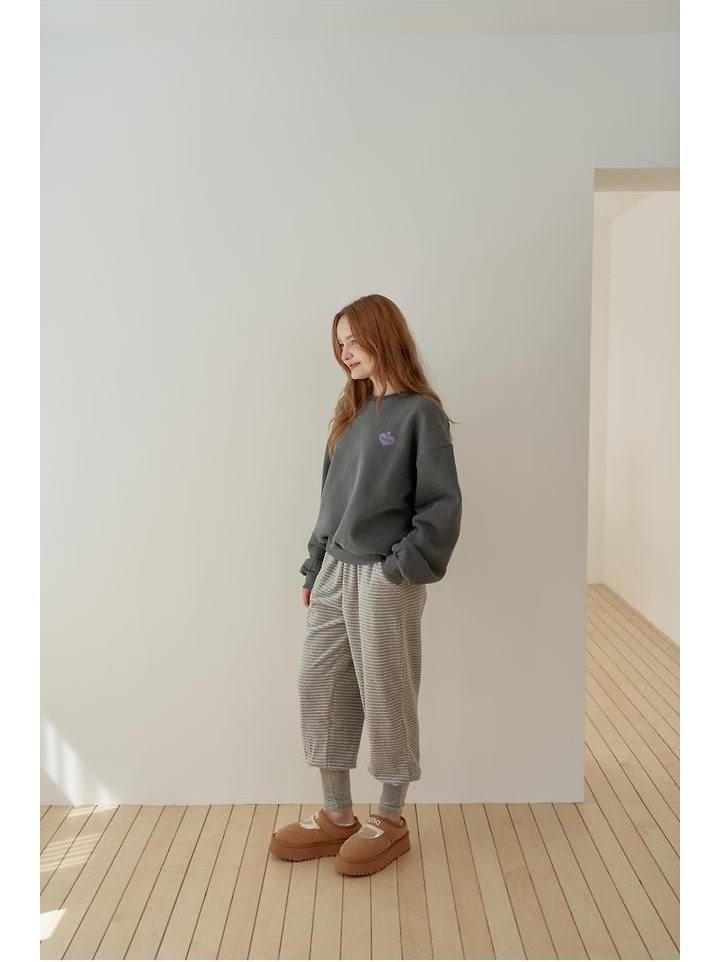 알린조거 상세 16